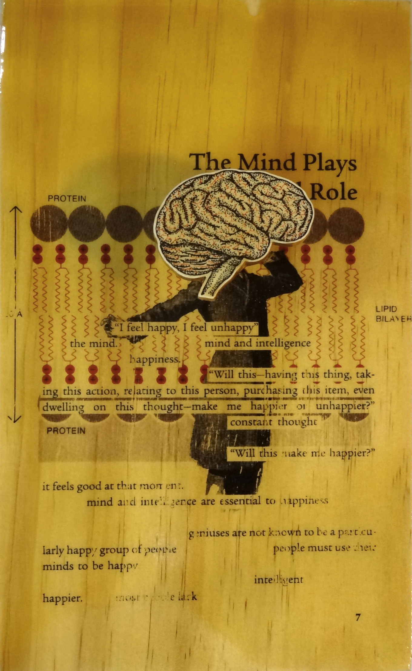 A wooden board with an illustration of a person holding a large brain in place of their head. Text and diagrams are overlaid, with the title "The Mind Plays a Role."